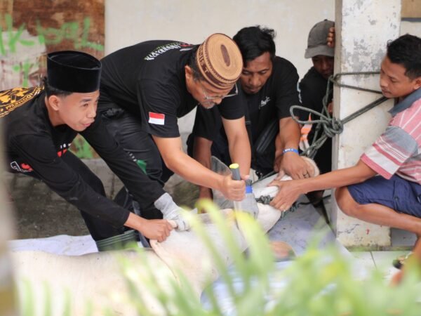 Semangat Qurban Idul Adha 1447 H, MAN Model 1 Manado Berkurban 4 Ekor Sapi